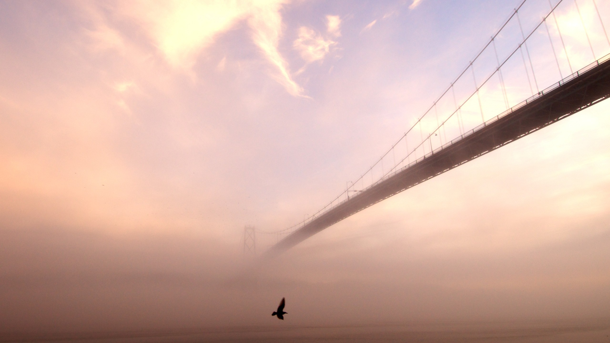 General 2560x1440 bridge mist birds animals sky outdoors construction