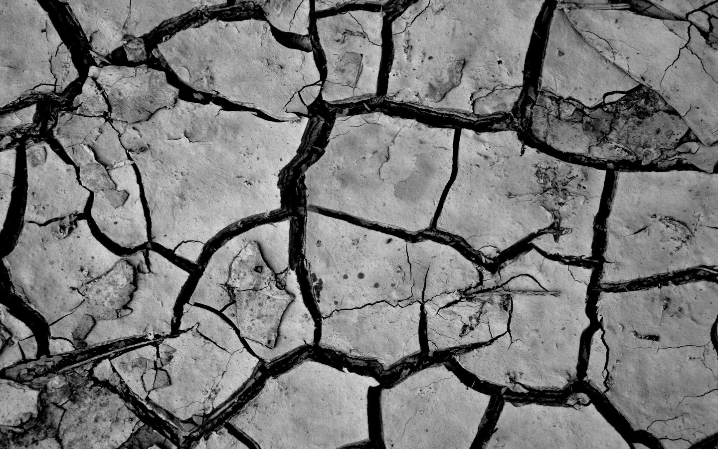 General 1440x900 dry  monochrome texture cracked gray dirt