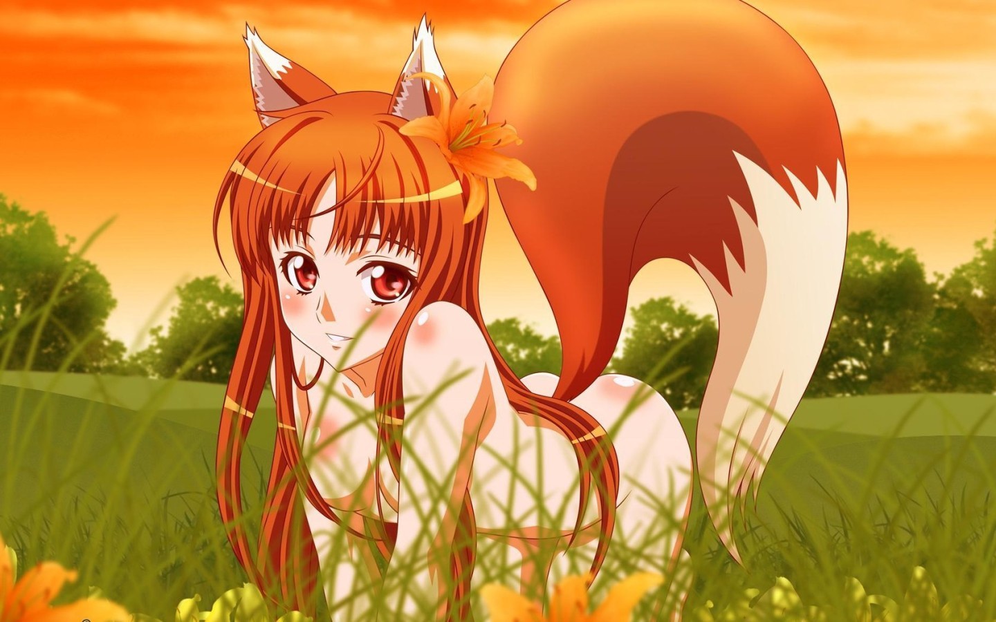 Anime 1440x900 anime girls anime wolf girls Spice and Wolf Holo (Spice and Wolf) nude tail red eyes animal ears grass looking at viewer long hair redhead flower in hair
