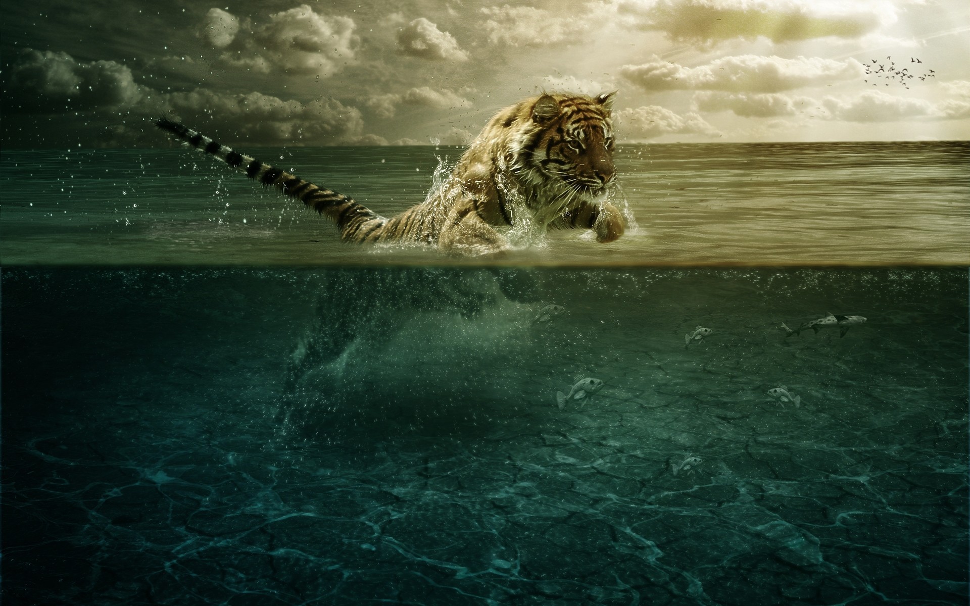 General 1920x1200 digital art animals underwater lion mammals big cats water in water