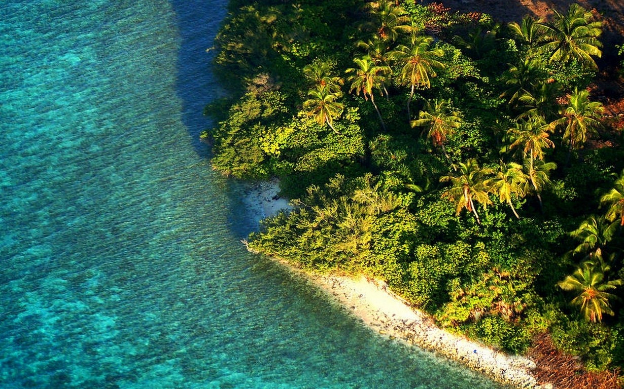 General 1230x768 nature landscape aerial view island beach tropical Maldives sea palm trees foliage water morning