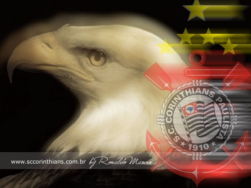 General 1024x768 animals birds 1910 (Year) Corinthians soccer clubs