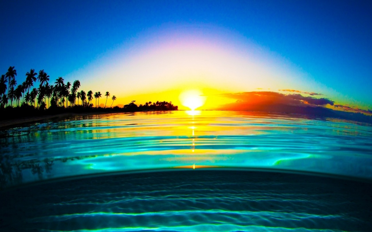 General 1300x812 nature water liquid beach palm trees sea calm yellow blue sky sunlight