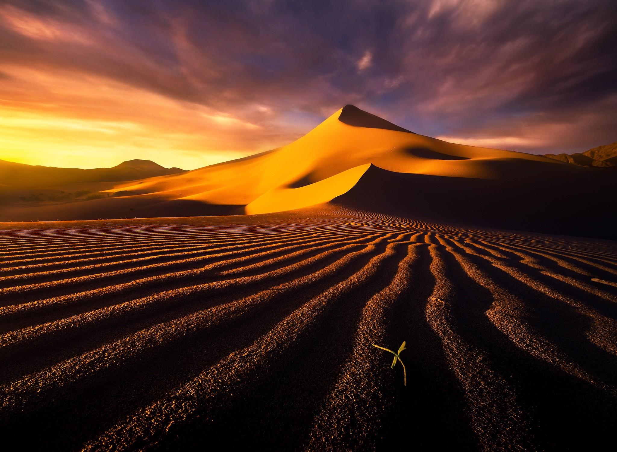 General 2048x1501 desert landscape dunes nature plants dark sky sunlight outdoors low light