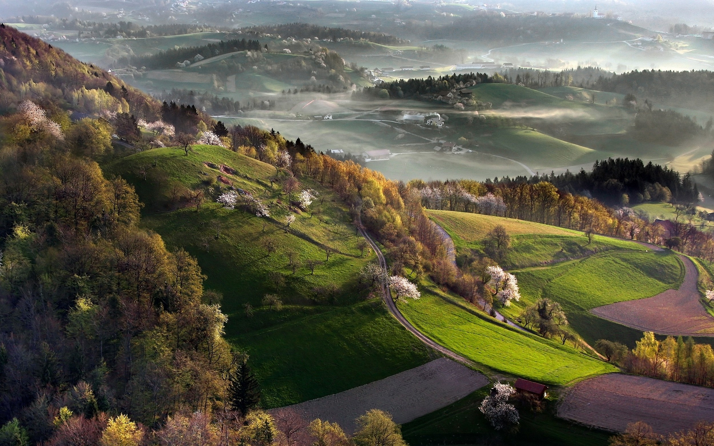 General 2500x1563 nature landscape mist spring Slovenia field cherry trees valley village