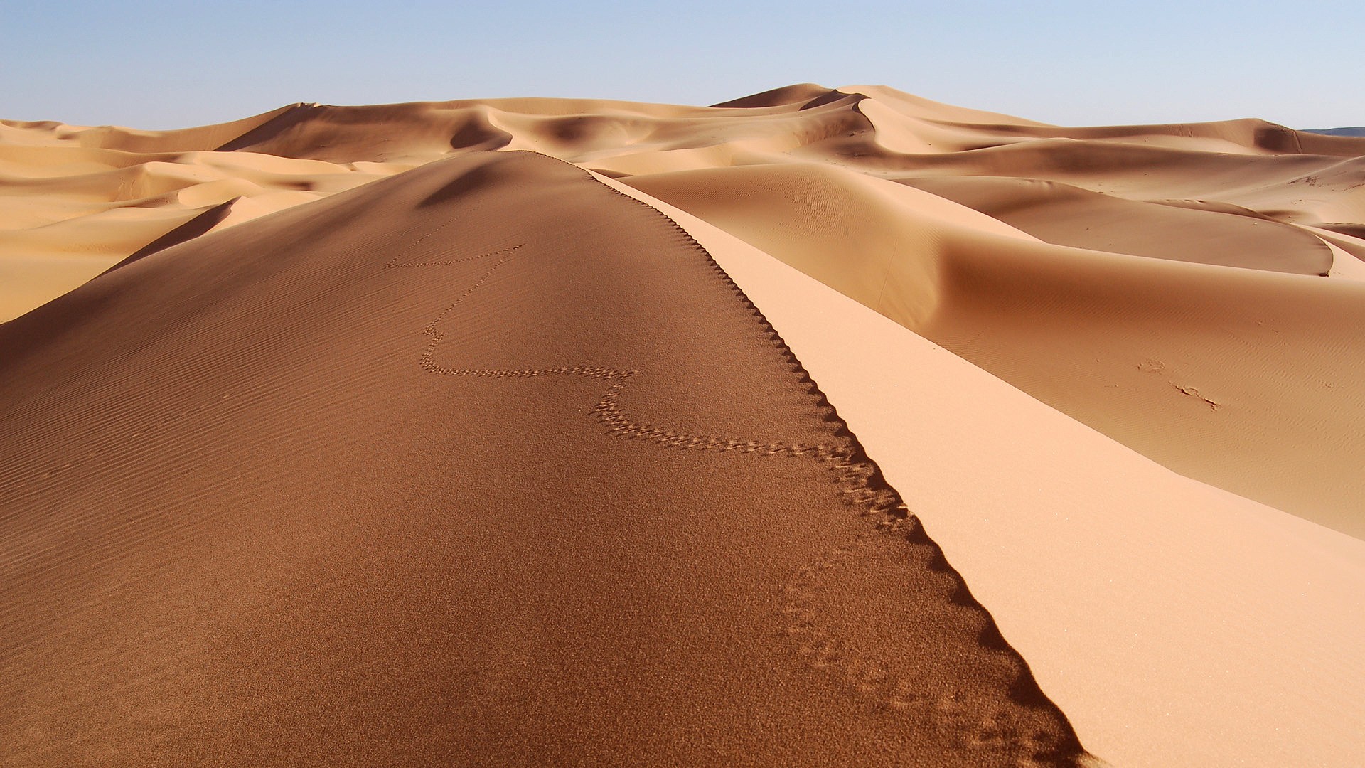 General 1920x1080 desert footprints dunes sand landscape nature