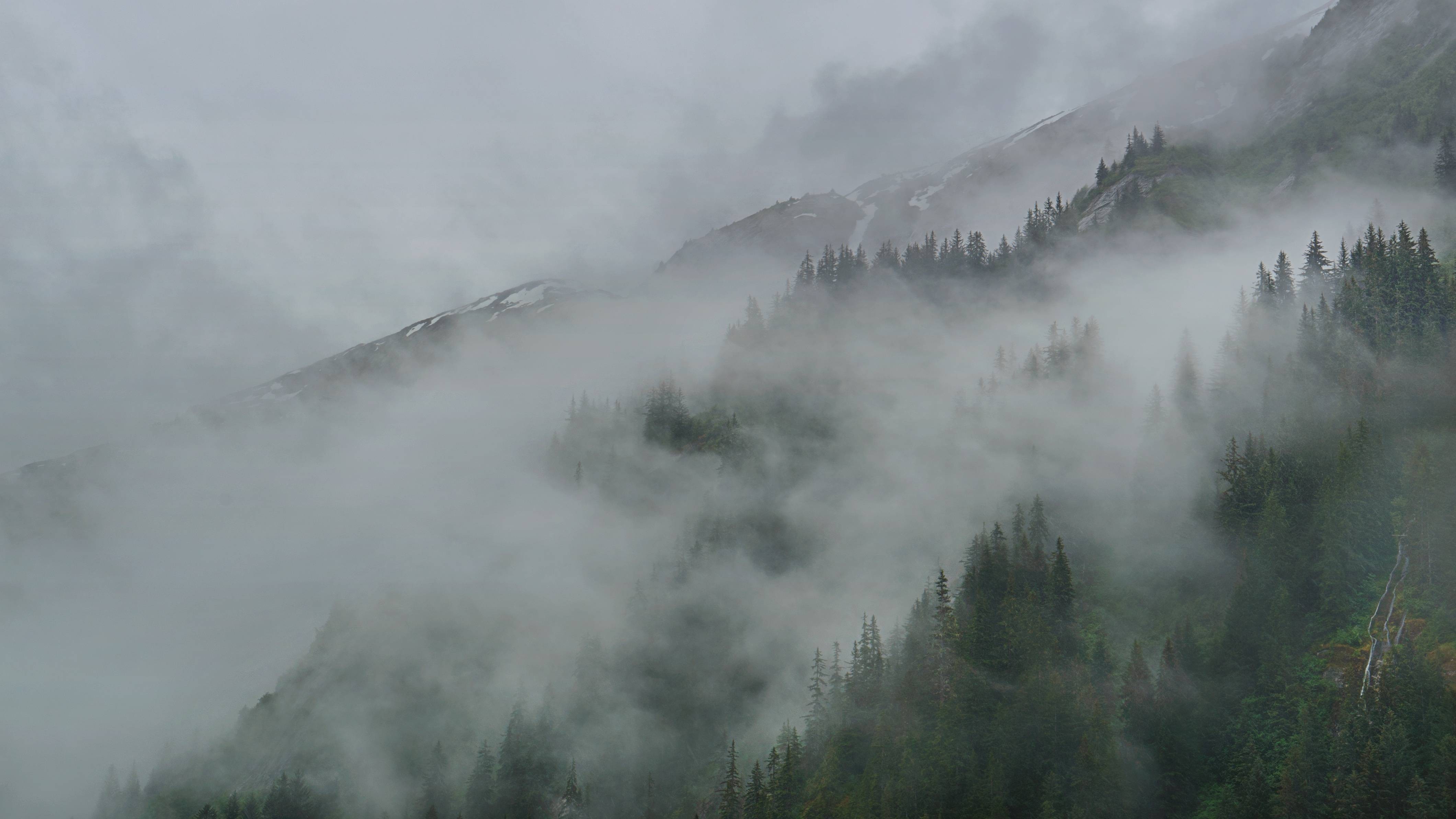 General 4240x2385 clouds mist forest Alaska Tracy Arm nordic landscapes nature outdoors