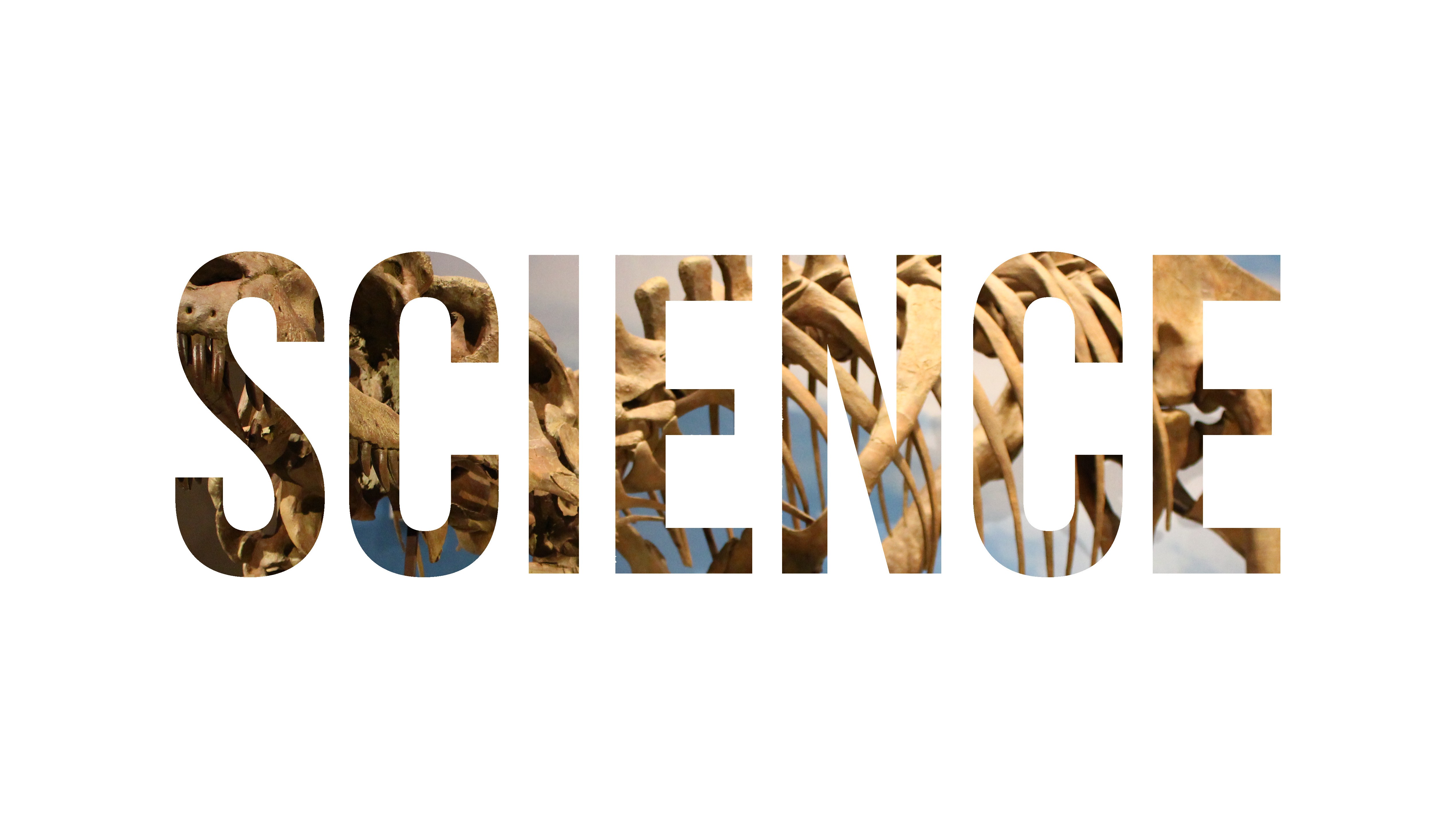 General 5075x2863 science nature Tyrannosaurus rex dinosaurs museum typography simple background white background