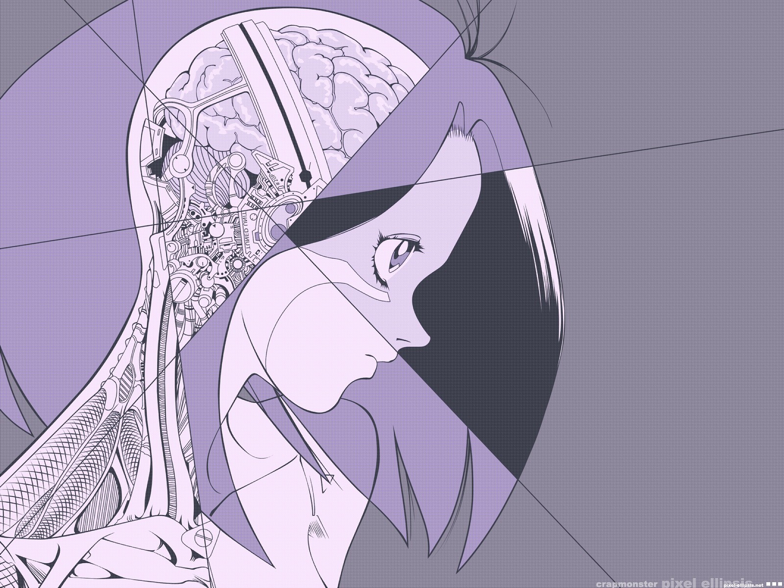 Anime 1600x1200 anime Alita anatomy brain Gally anime girls