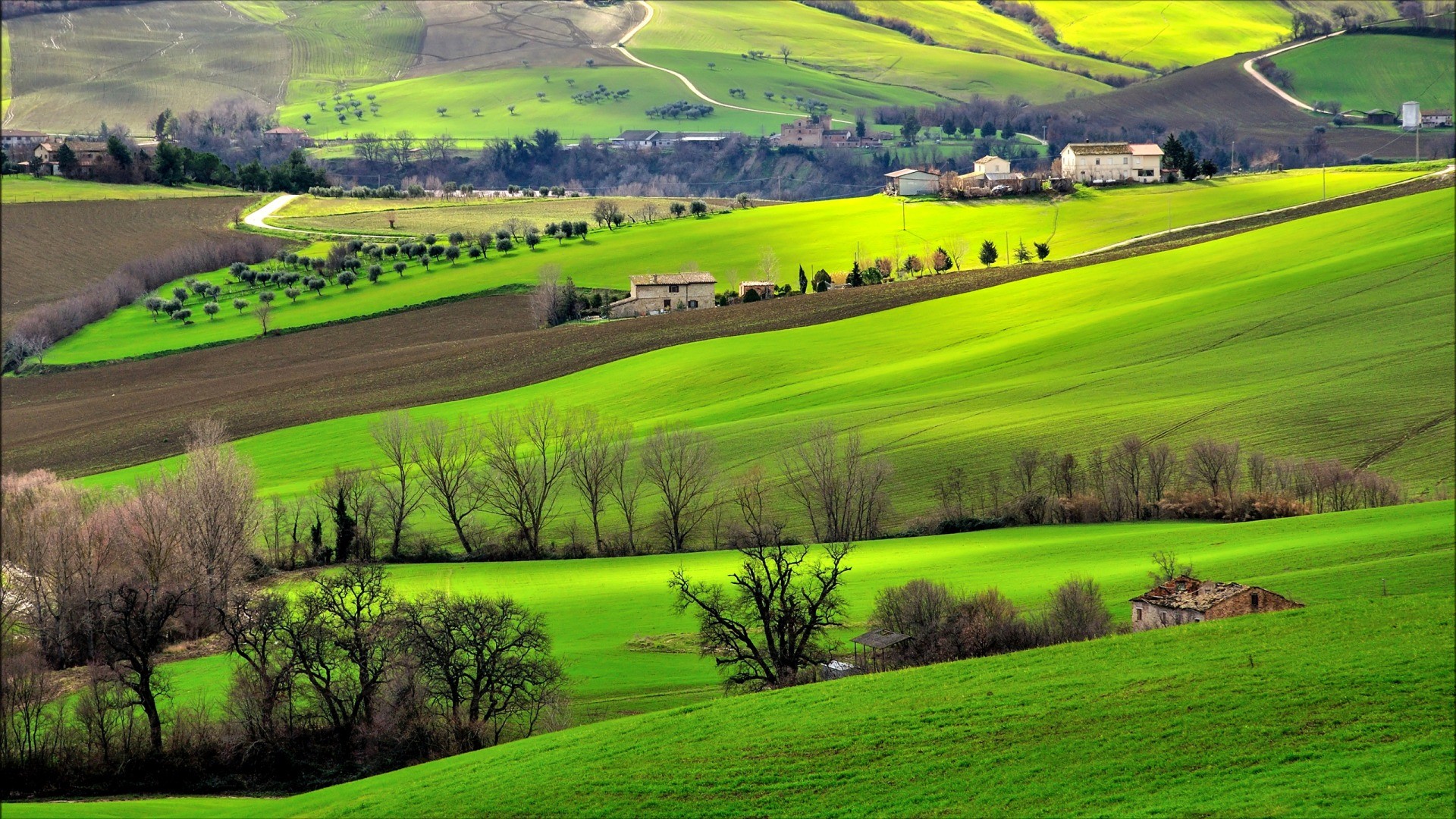 General 1920x1080 Italy landscape field trees hills nature green