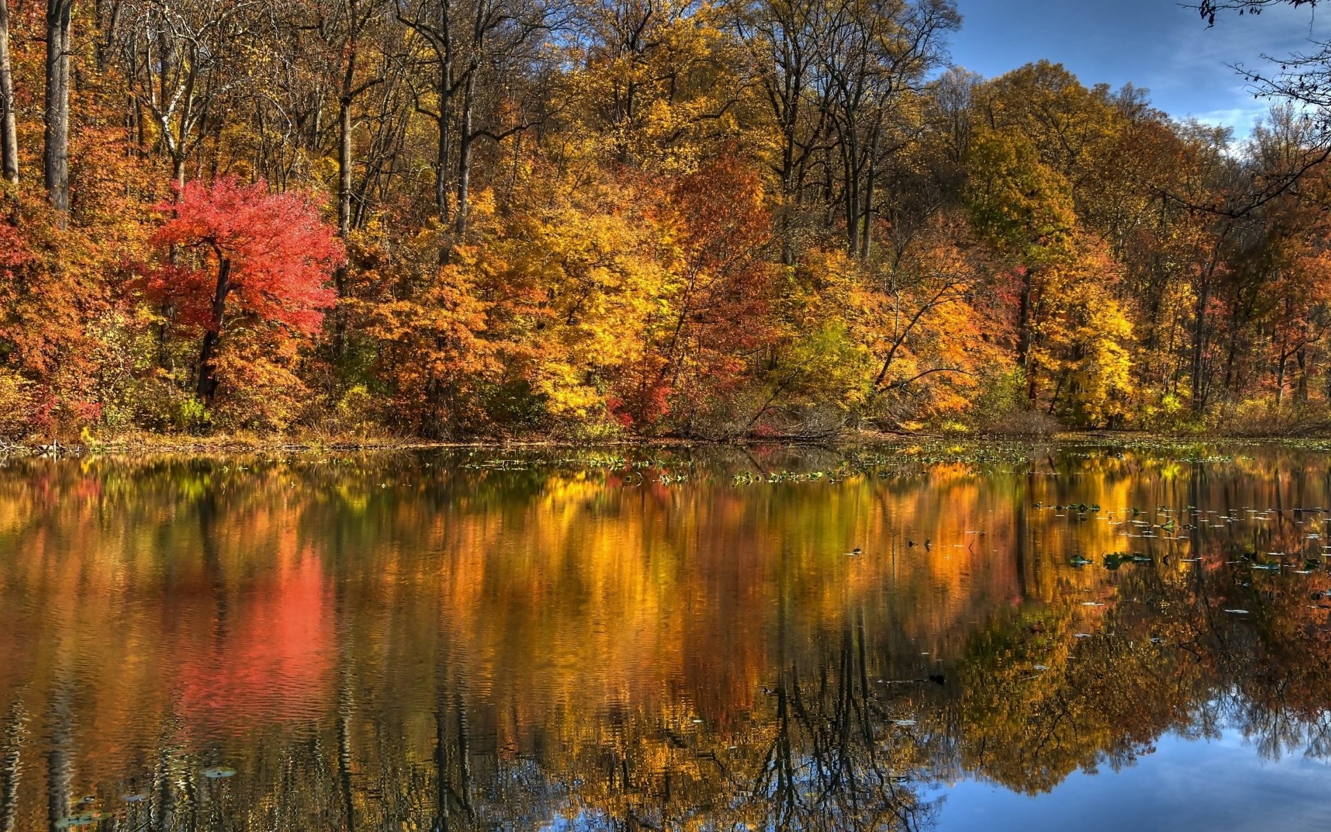 General 1920x1200 nature fall trees water landscape reflection