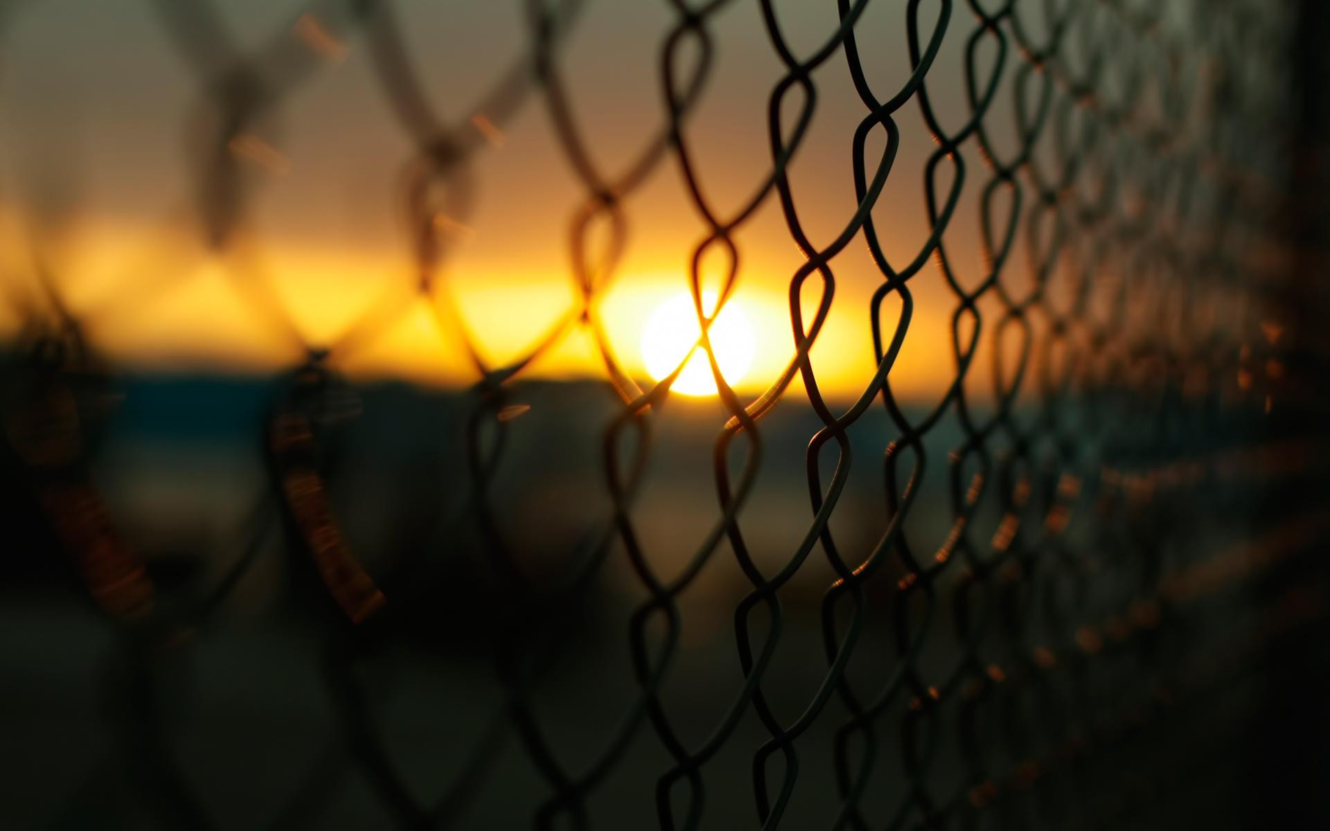 General 1920x1200 fence Sun macro blurred photography outdoors sunlight