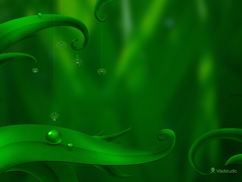 General 1024x768 Vladstudio leaves water drops spider green background plants green