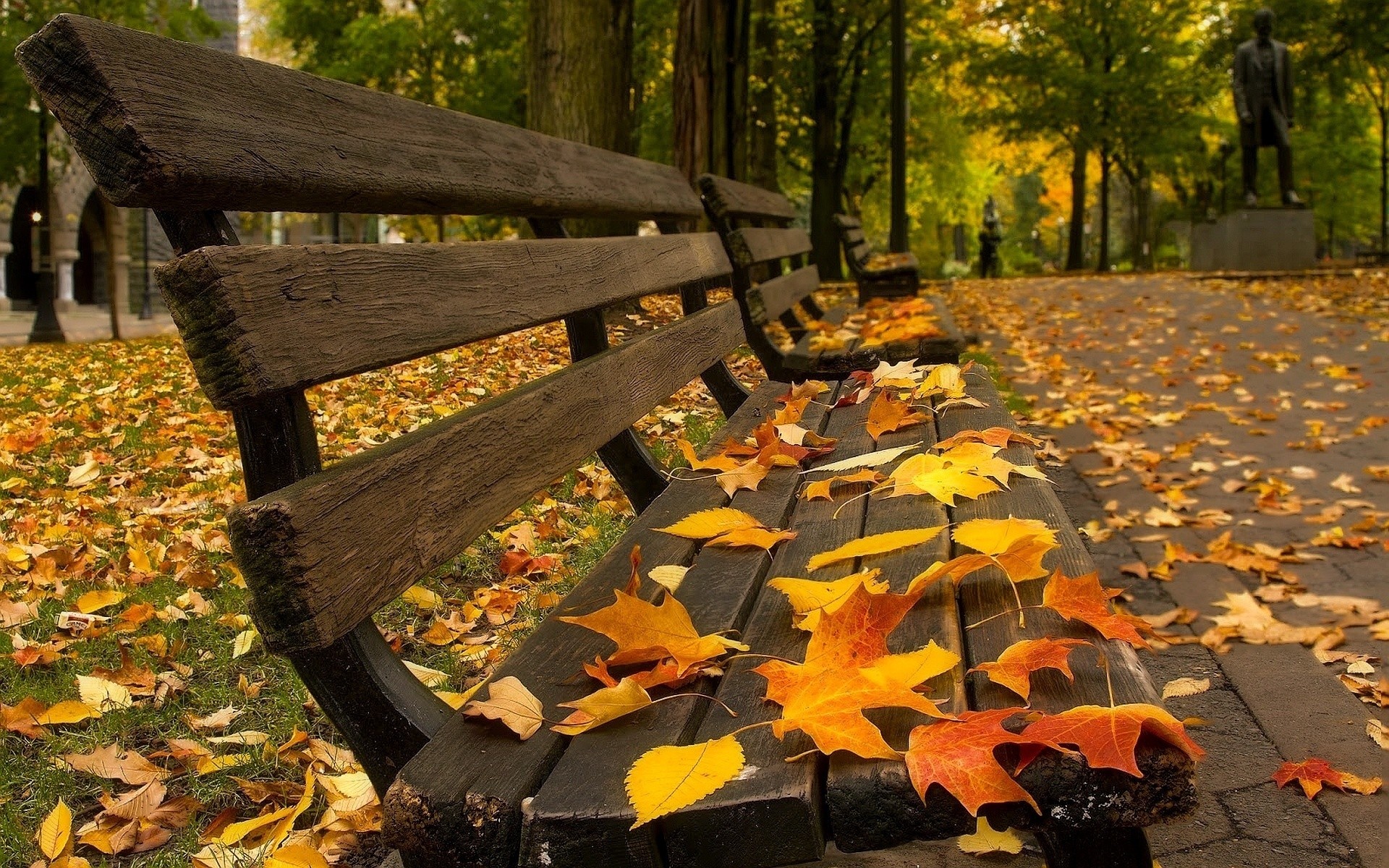 General 1920x1200 bench leaves fall pavements
