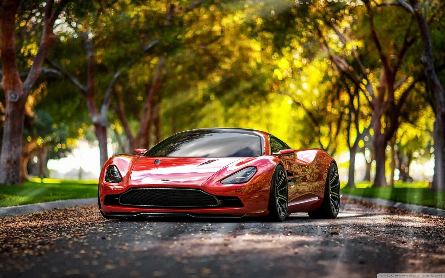 General 1440x900 Aston Martin red cars trees car vehicle Aston Martin DBC