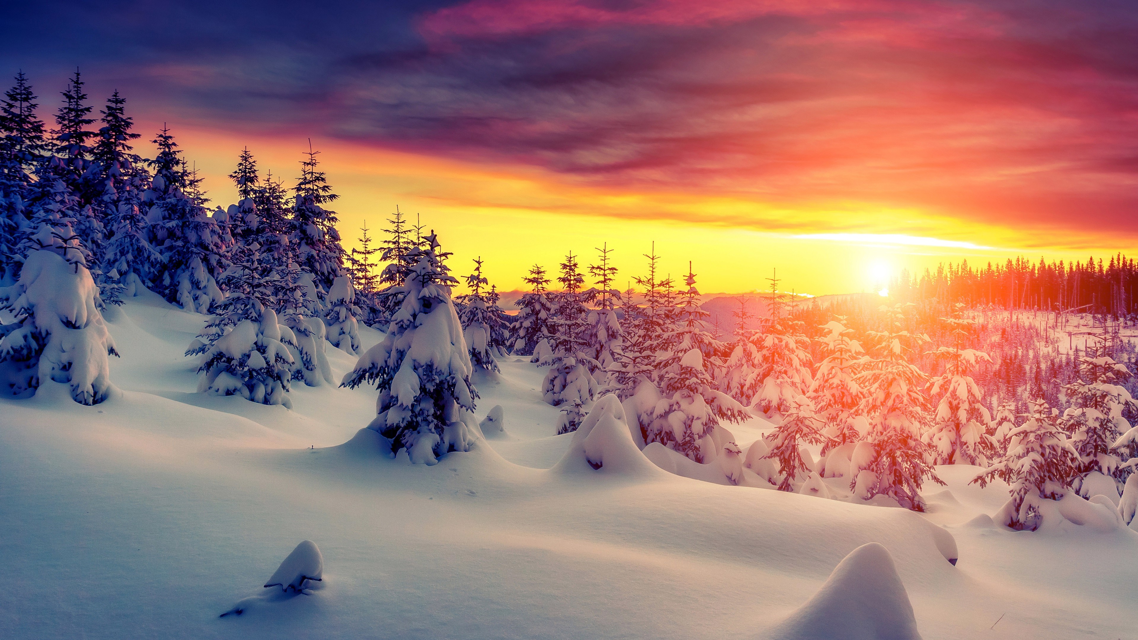 General 3840x2160 landscape snow trees sunset nature sunlight cold outdoors Sun sky