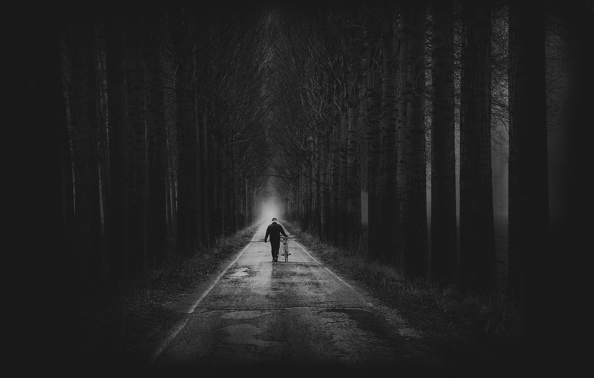 General 2048x1305 alone dark monochrome men long road in-line trees bicycle