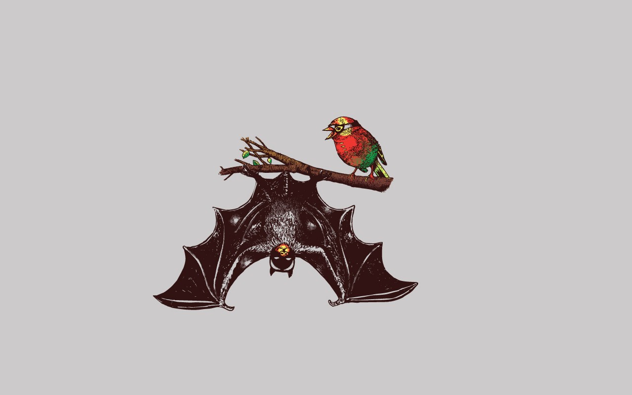 General 1280x800 Batman birds comics Robin (DC comics) humor simple background animals bats twigs minimalism