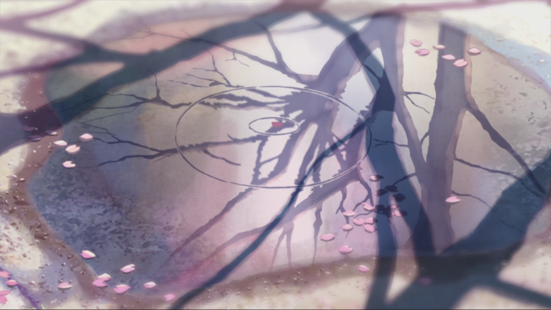 Anime 1920x1080 5 Centimeters Per Second puddle reflection petals cherry blossom Makoto Shinkai  anime artwork pink