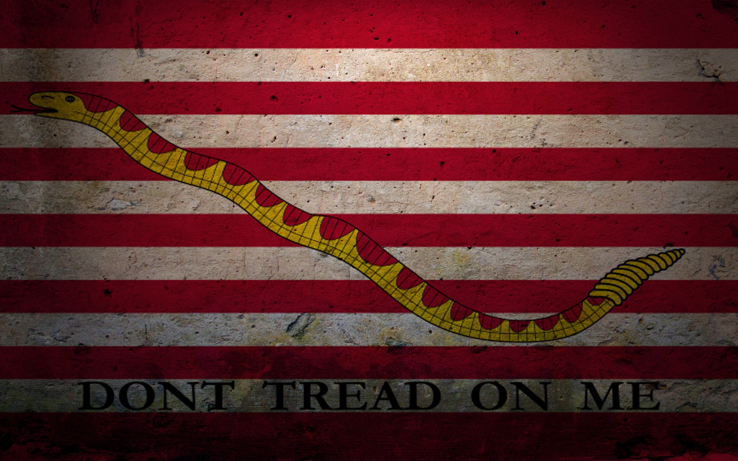 General 2560x1600 libertarianism flag United States Navy