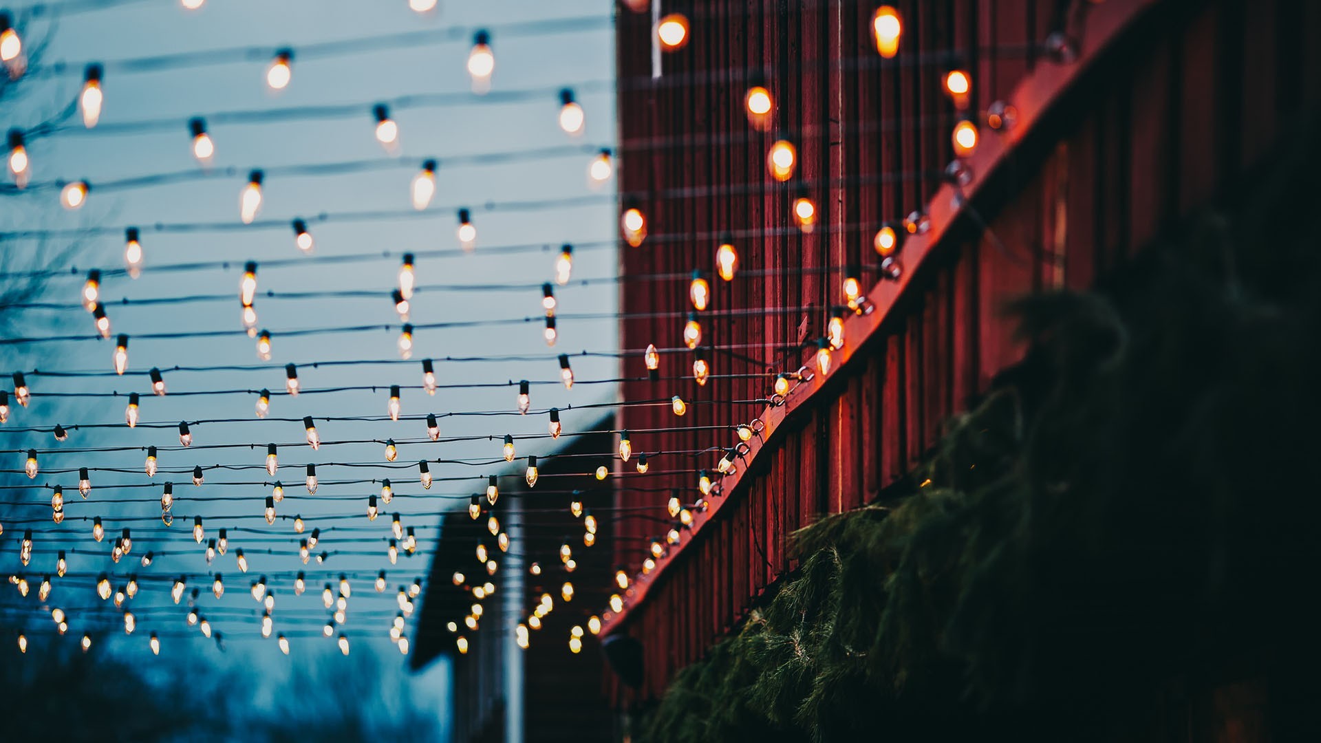 General 1920x1080 lights Christmas lights bokeh wires plants building lamp red atmosphere evening