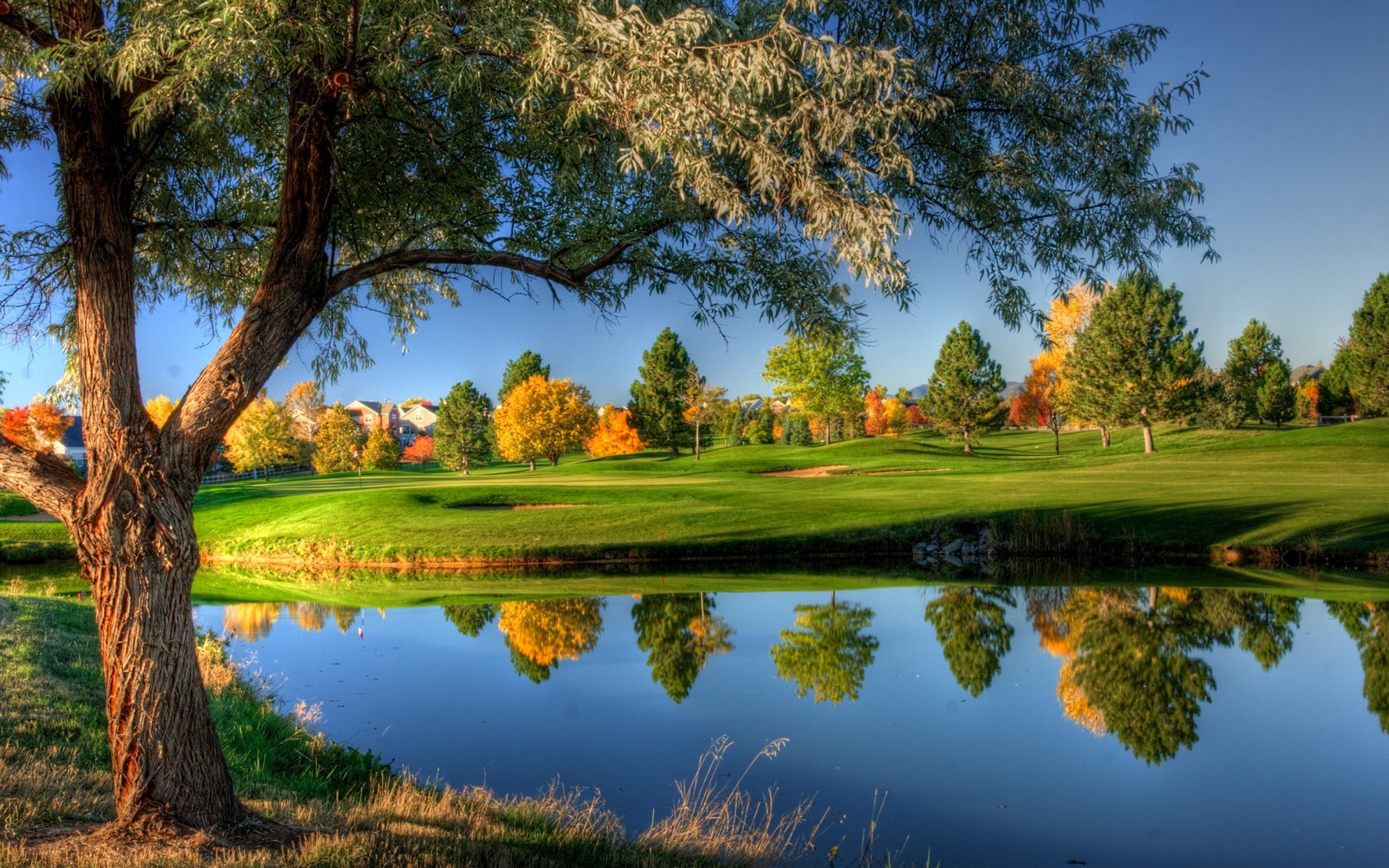 General 1920x1200 creeks landscape trees golf course water reflection