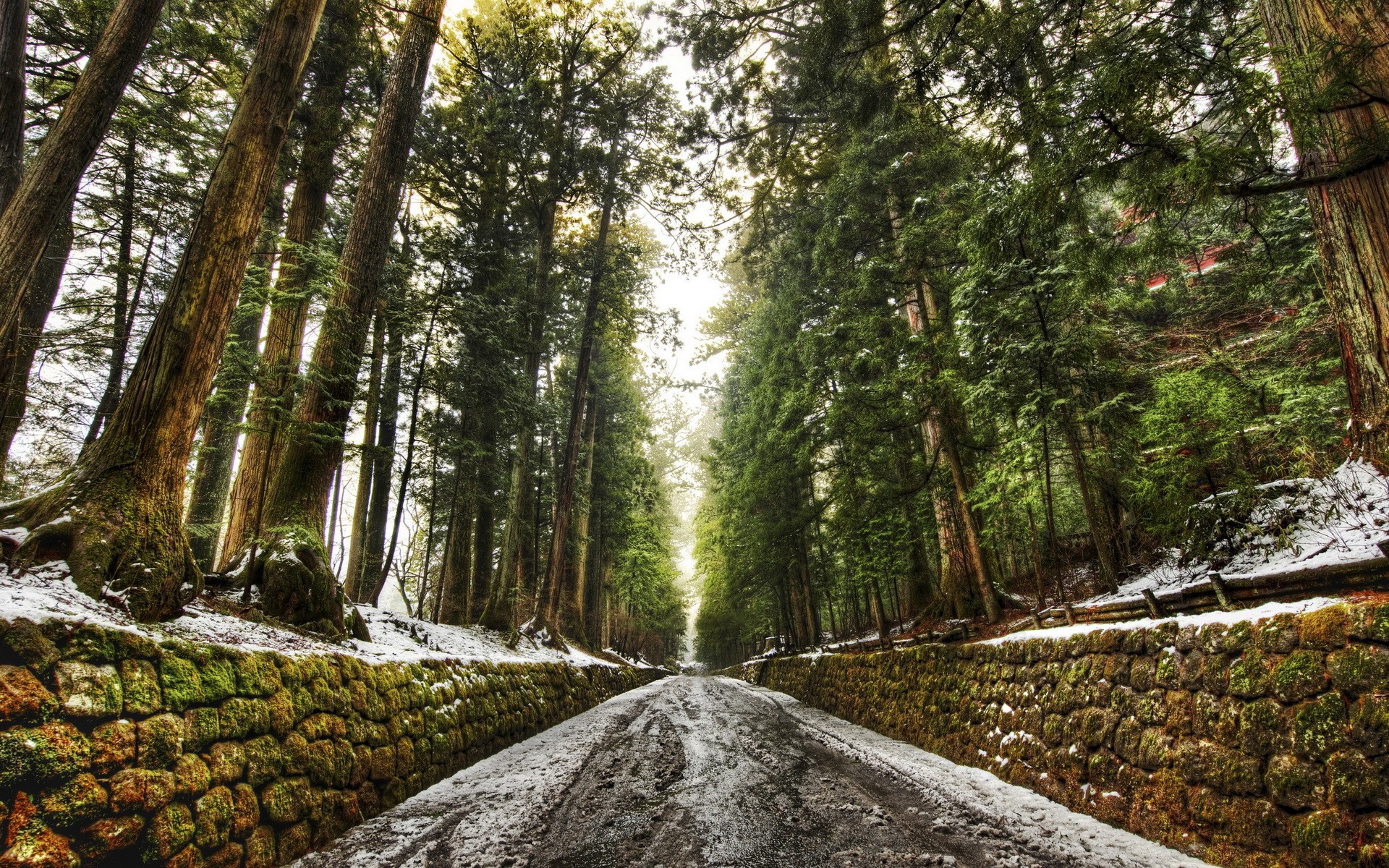 General 1920x1200 road snow wall trees dirt road winter stone wall forest dirt moss