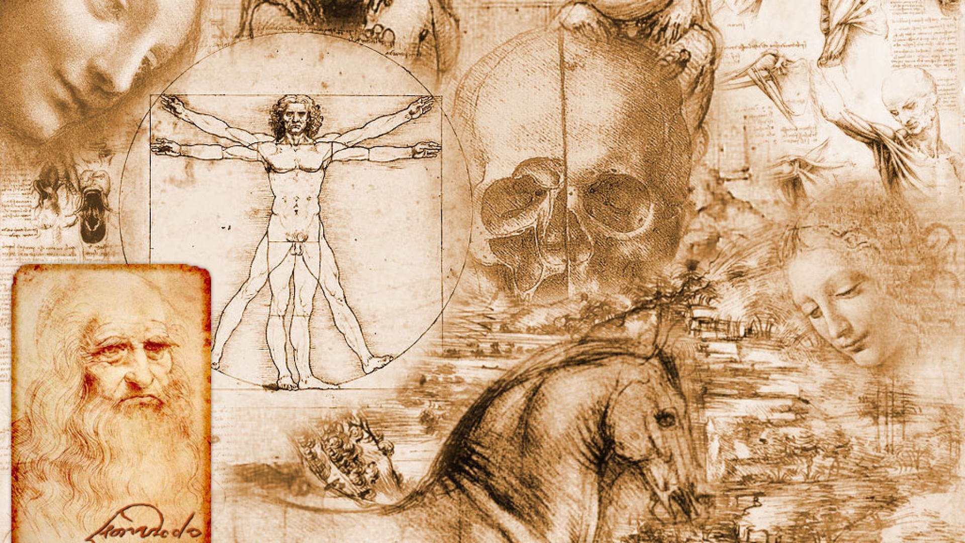 General 1920x1080 Leonardo da Vinci Vitruvian Man artwork collage science