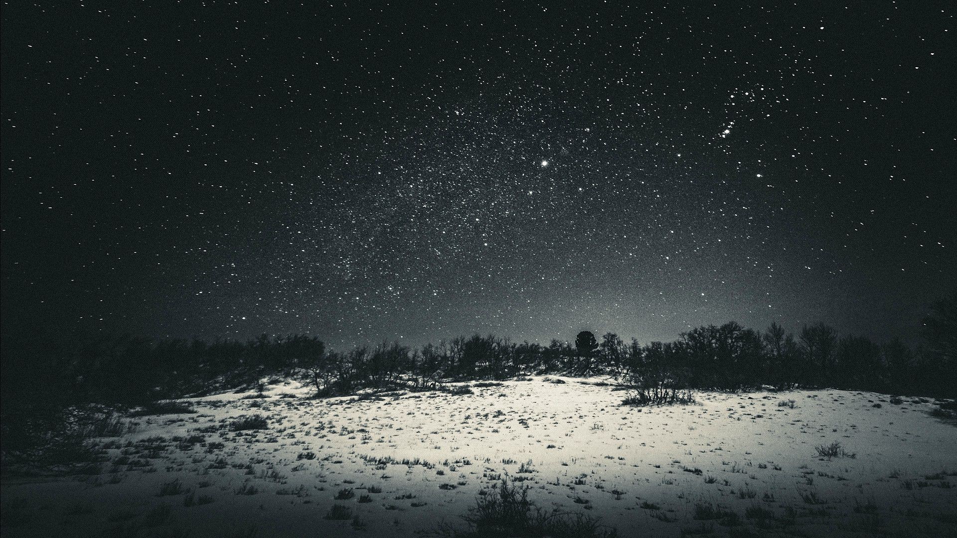General 1920x1080 snow stars forest clearing nature landscape star trails night sky dark black trees monochrome gray