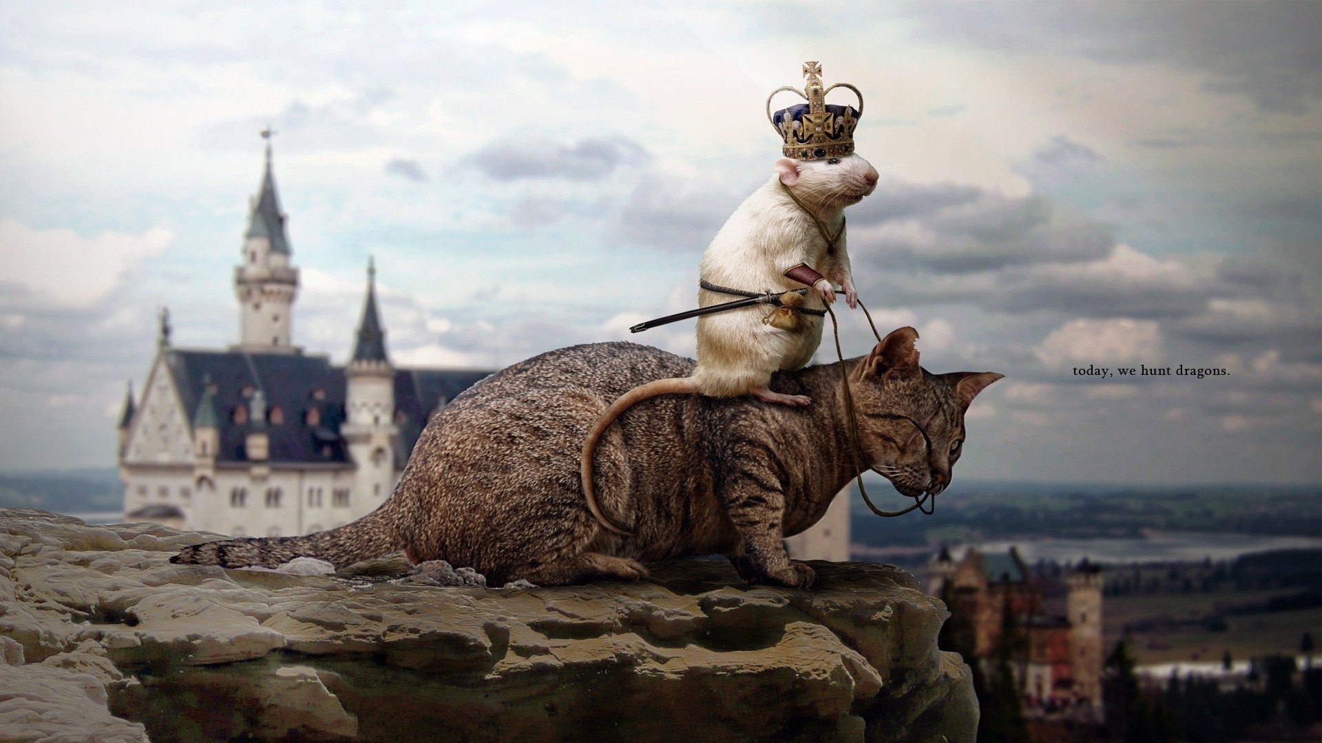 General 1920x1080 fantasy art cats artwork mice humor crown animals mammals