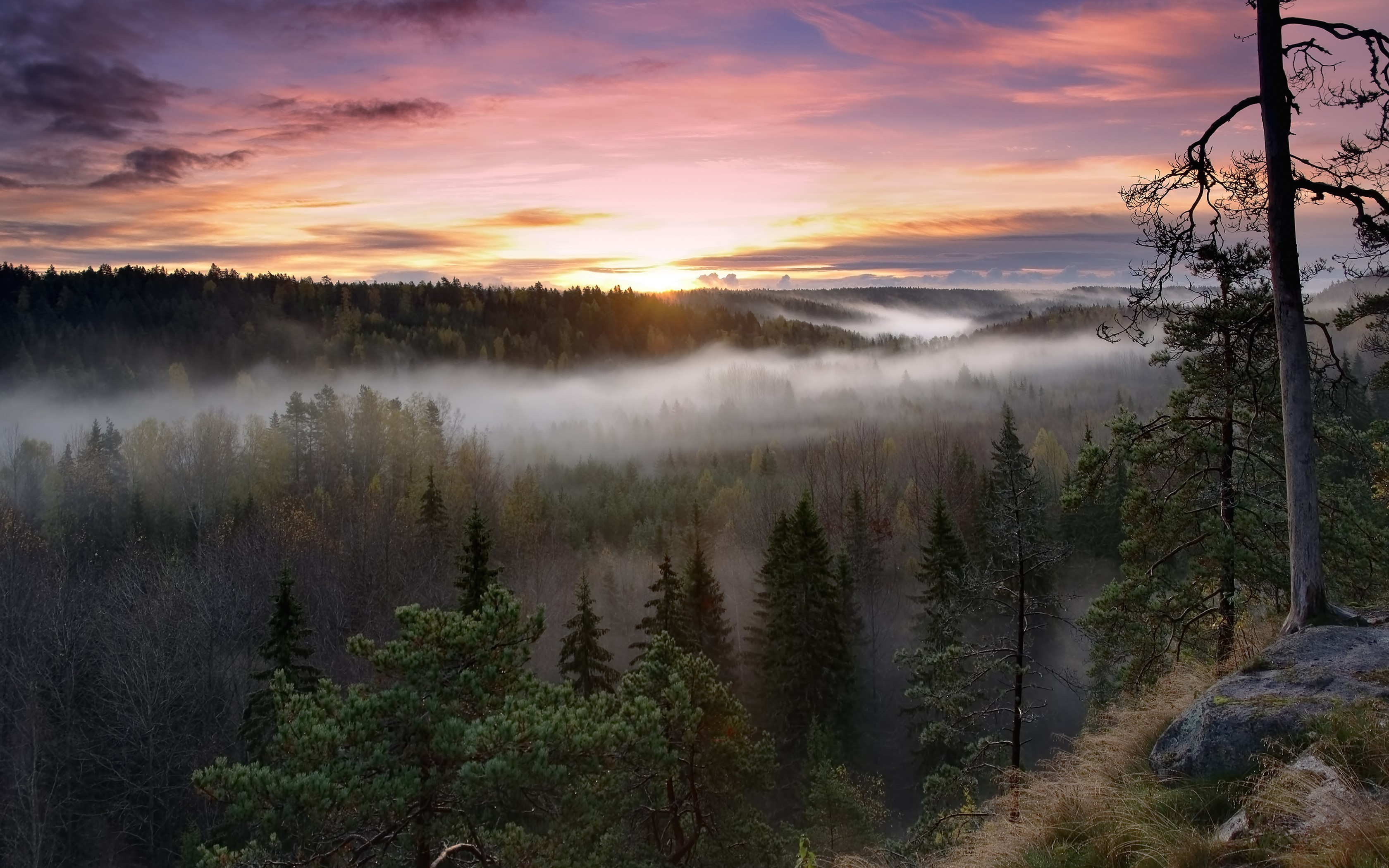 General 3360x2100 nature landscape forest mist fall sky clouds trees Finland