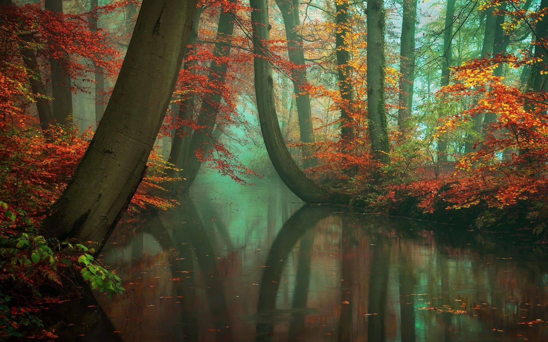 General 1920x1200 nature mist forest fall river reflection red yellow green leaves water trees peace