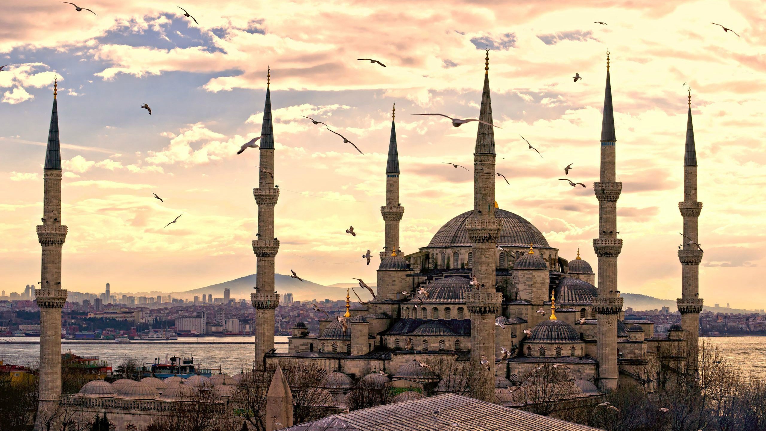General 2560x1440 mosque Turkey Sultan Ahmed Mosque building birds sky