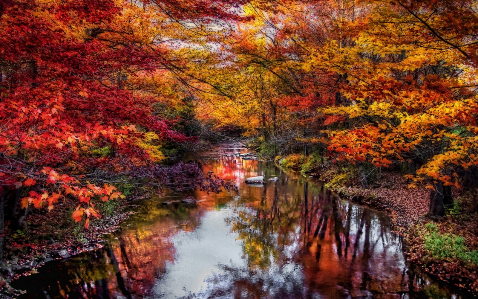 General 1600x1000 nature river leaves colorful trees fall water reflection foliage Maine