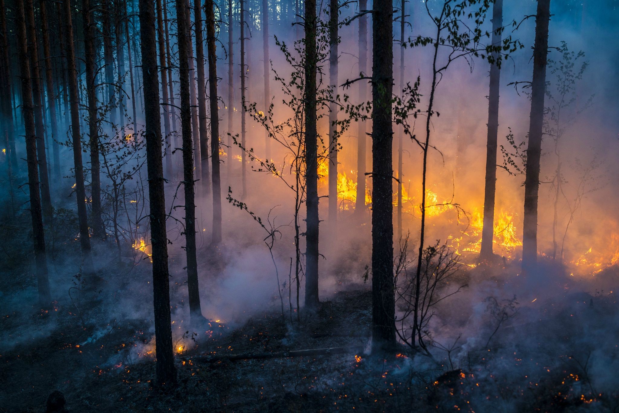 General 2048x1367 nature fire trees outdoors burning