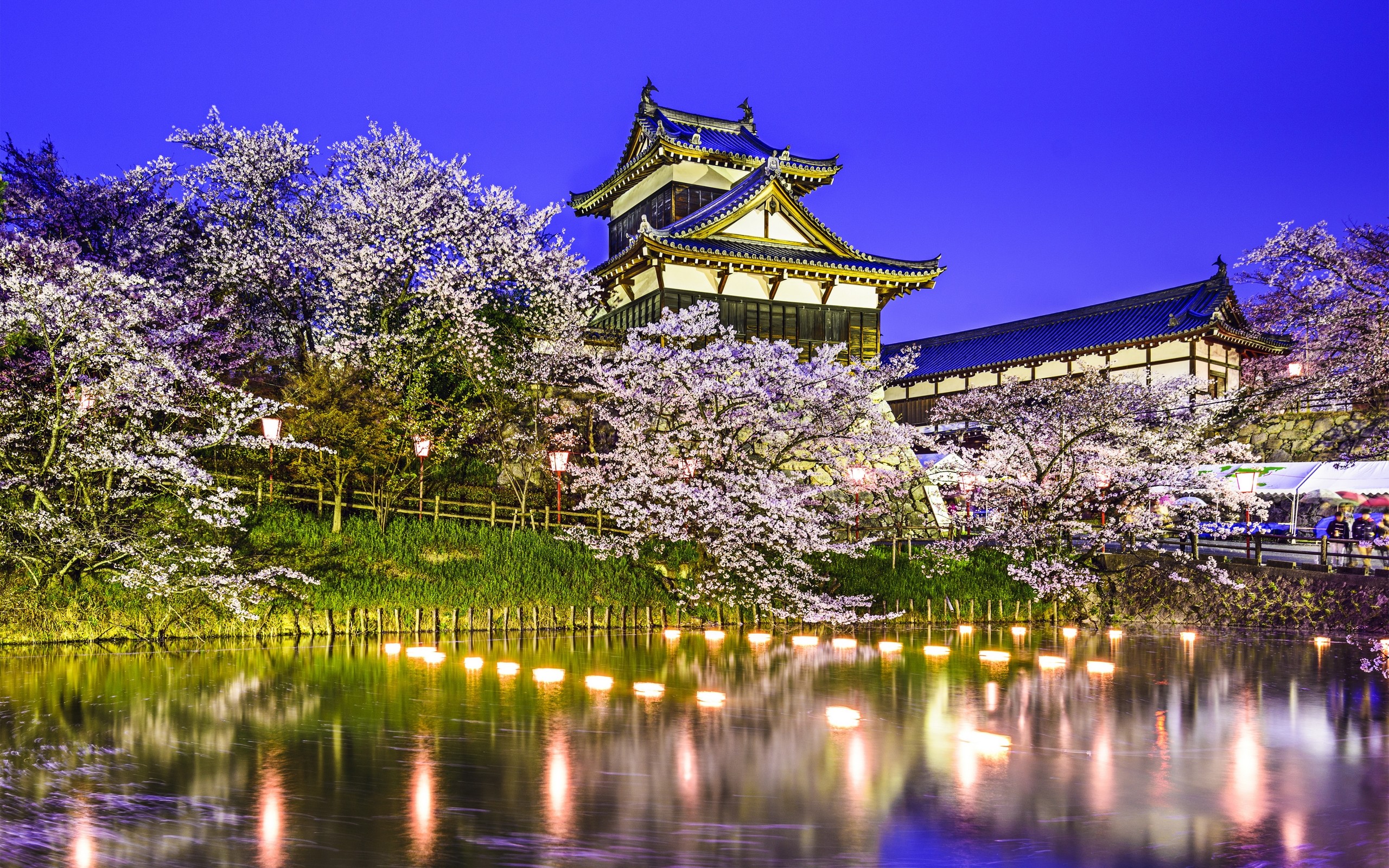 General 2560x1600 Japan architecture cherry blossom water Asia reflection plants
