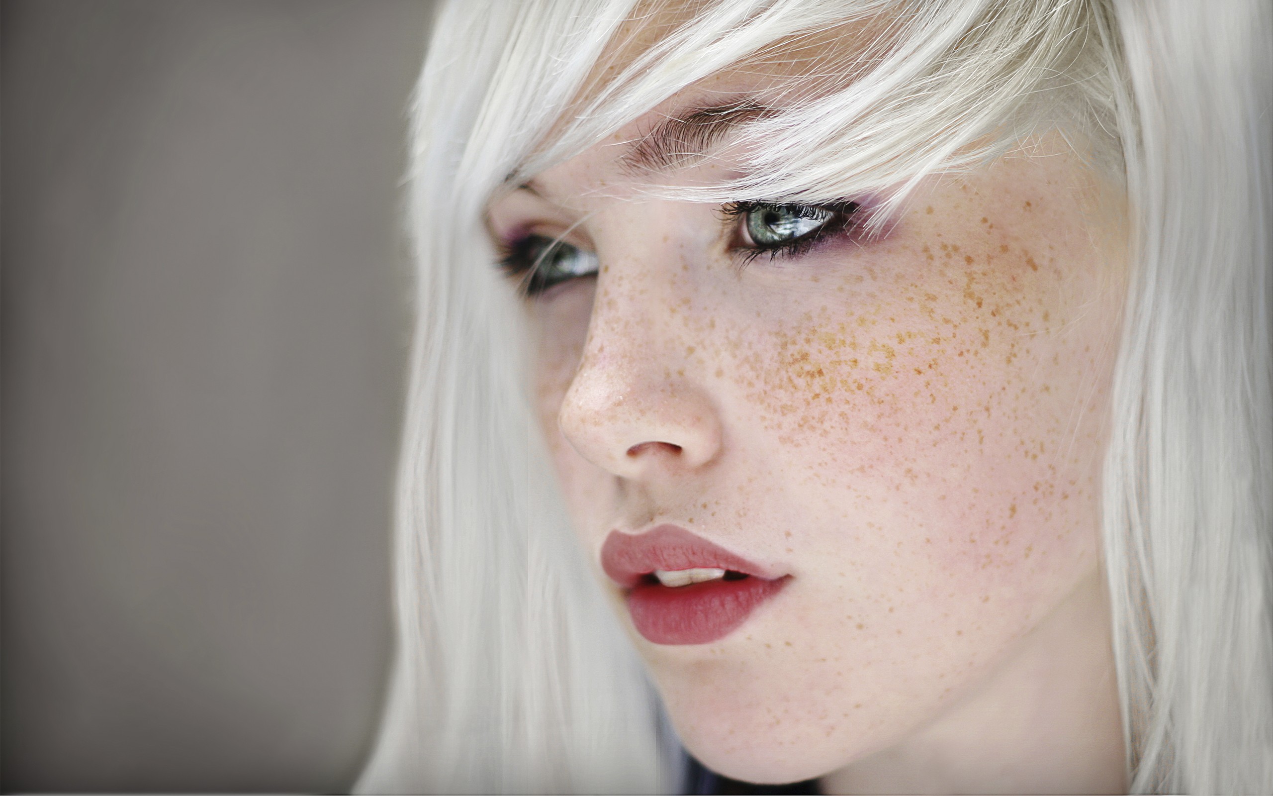 People 2560x1600 Devon Jade freckles blonde green eyes women face model white hair portrait blue eyes simple background looking into the distance American women