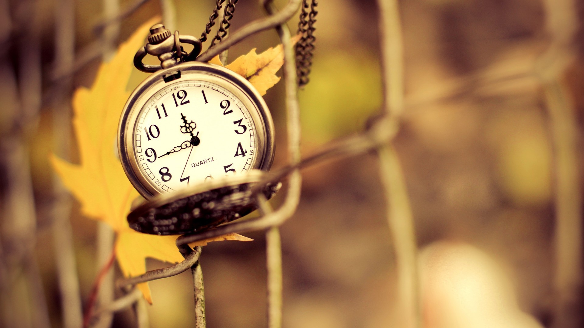 General 1920x1080 clocks fence depth of field leaves time pocket watch numbers