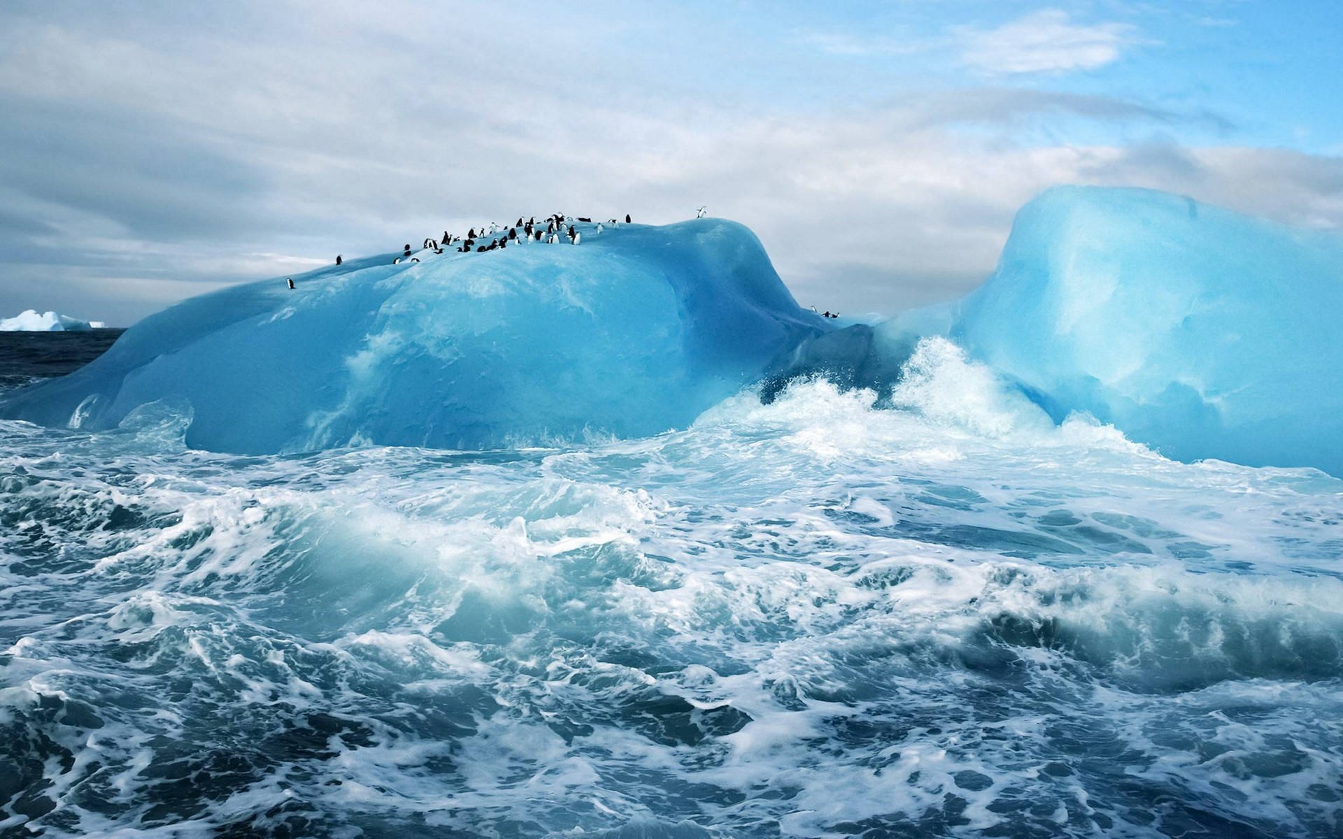 General 1920x1200 penguins sea ice cyan iceberg animals birds nature