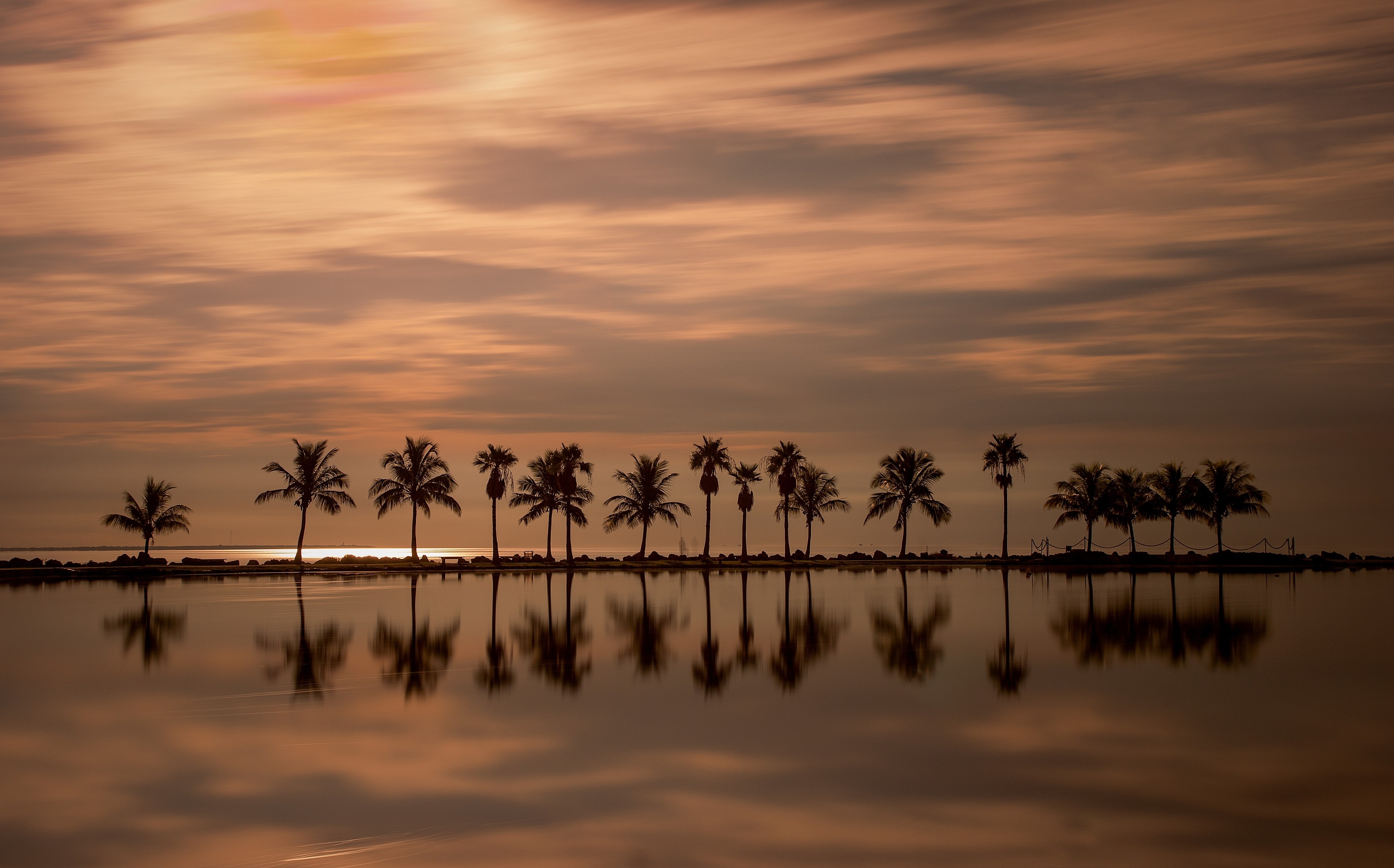 General 3600x2241 palm trees Florida sea landscape dusk sky reflection USA
