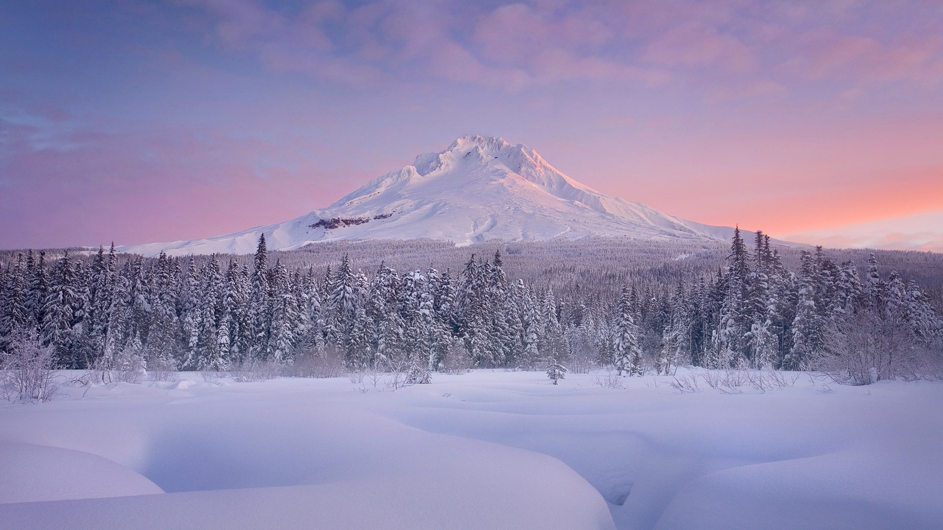 General 1920x1080 winter mountains landscape Mount Hood Oregon snow forest snowy peak snowy mountain cold outdoors ice trees nature USA