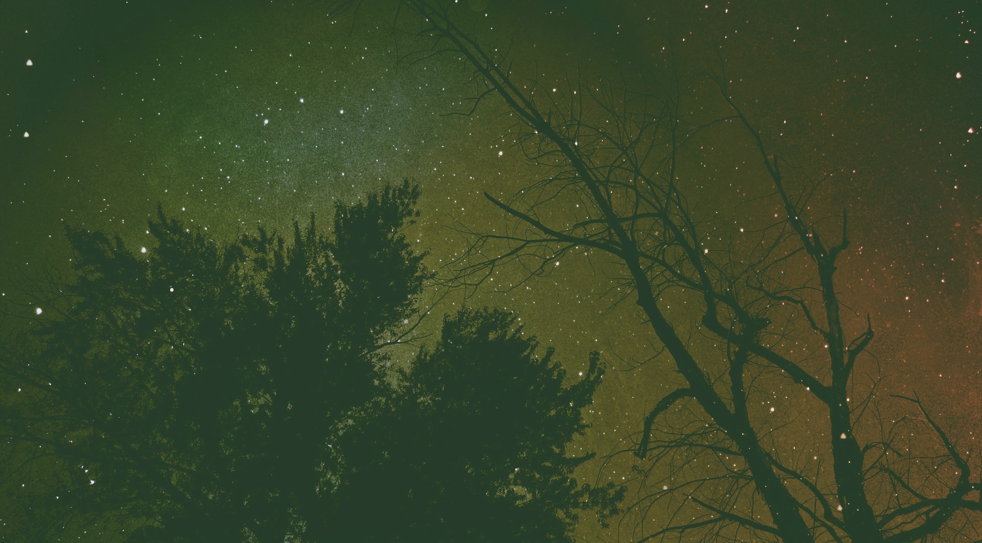 General 1920x1063 nature sky trees dark stars