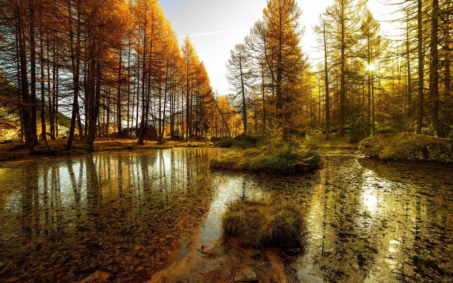 General 1920x1200 nature pond swamp forest landscape water sunlight fall