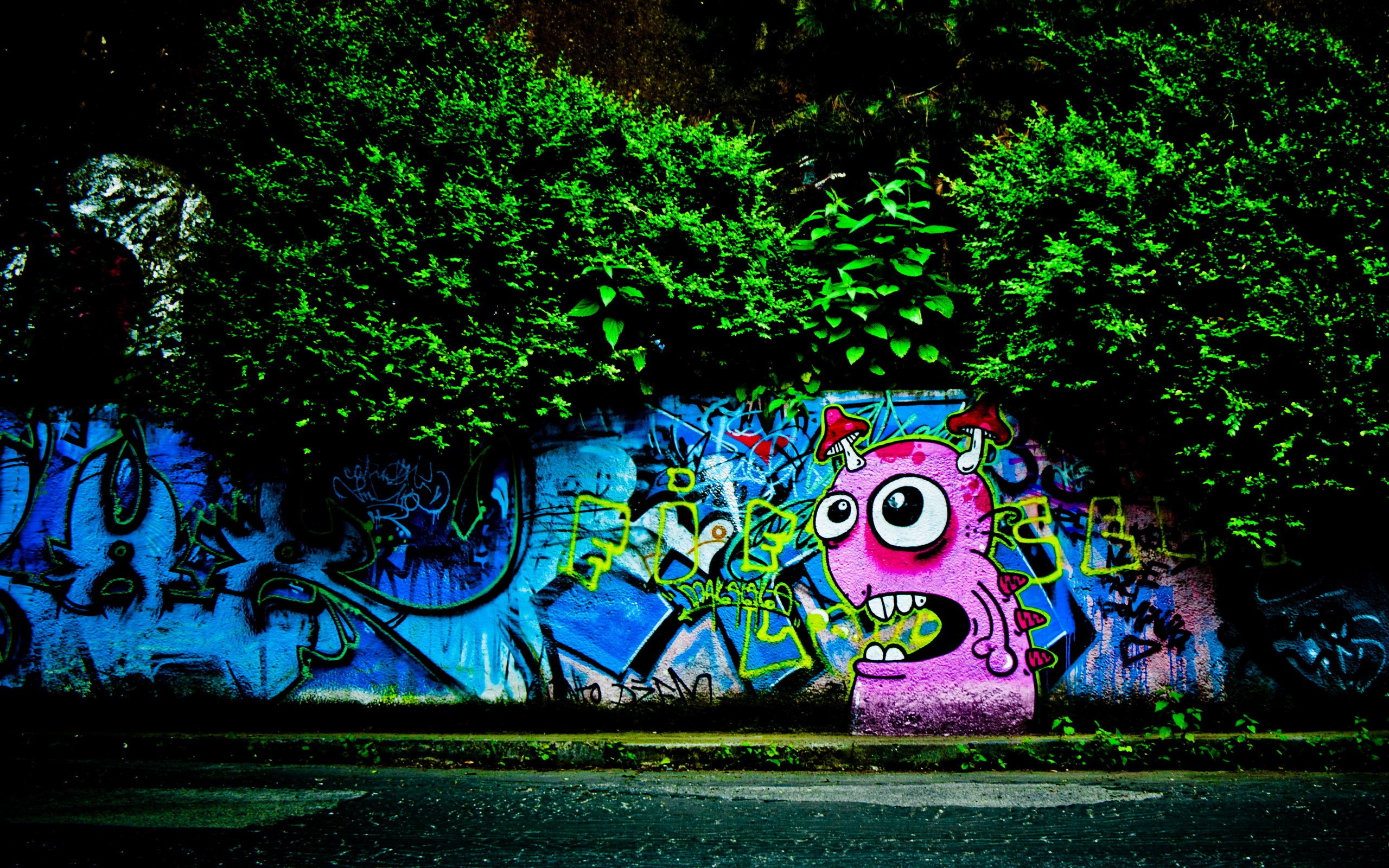 General 2560x1600 graffiti wall urban road cyan foliage pink