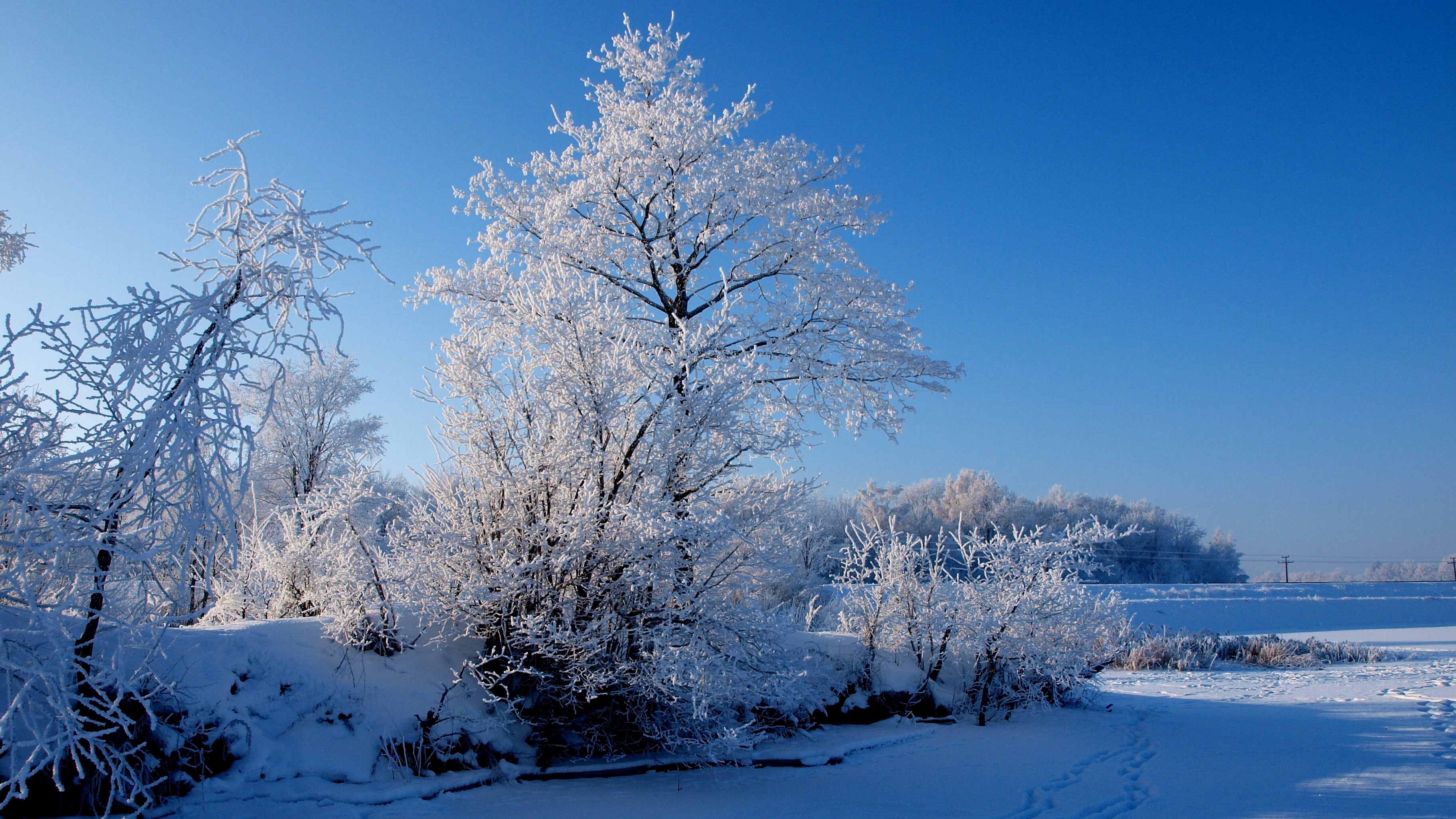 General 3648x2052 winter landscape snow clear sky sky blue sky blue frost trees