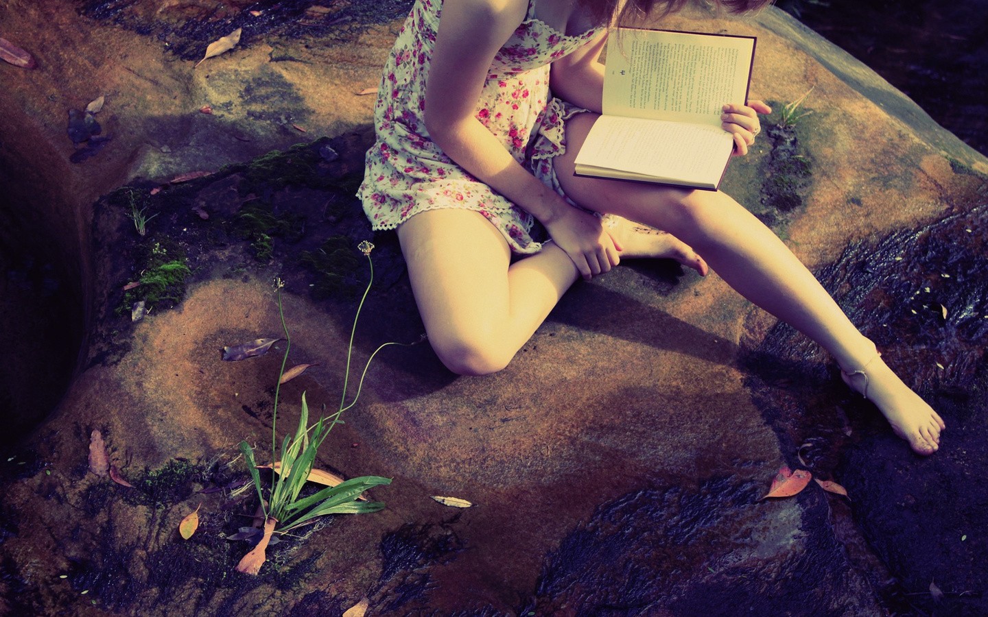 People 1440x900 model books barefoot introvert women outdoors sitting reading plants women