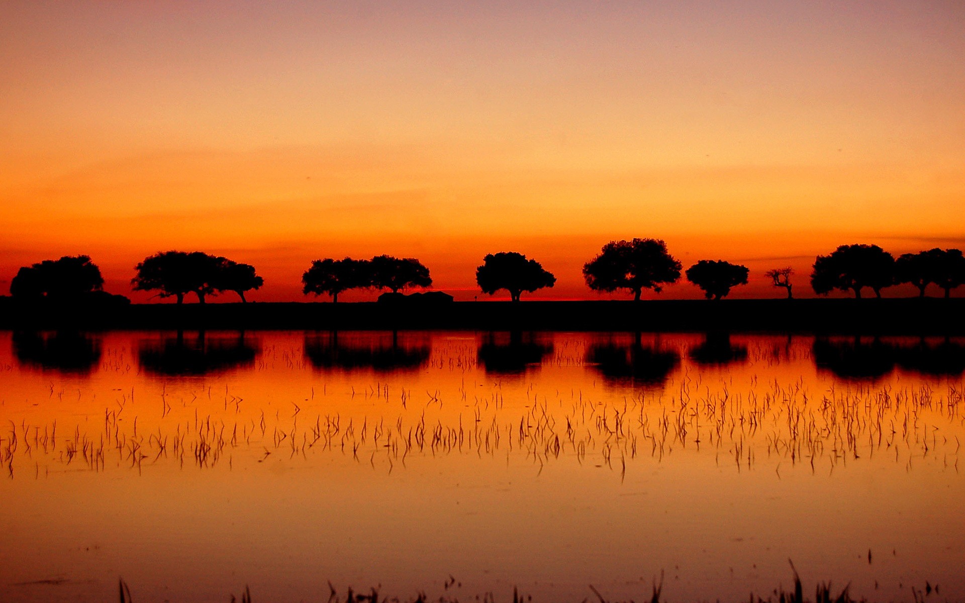 General 1920x1200 landscape silhouette sunset trees reflection low light
