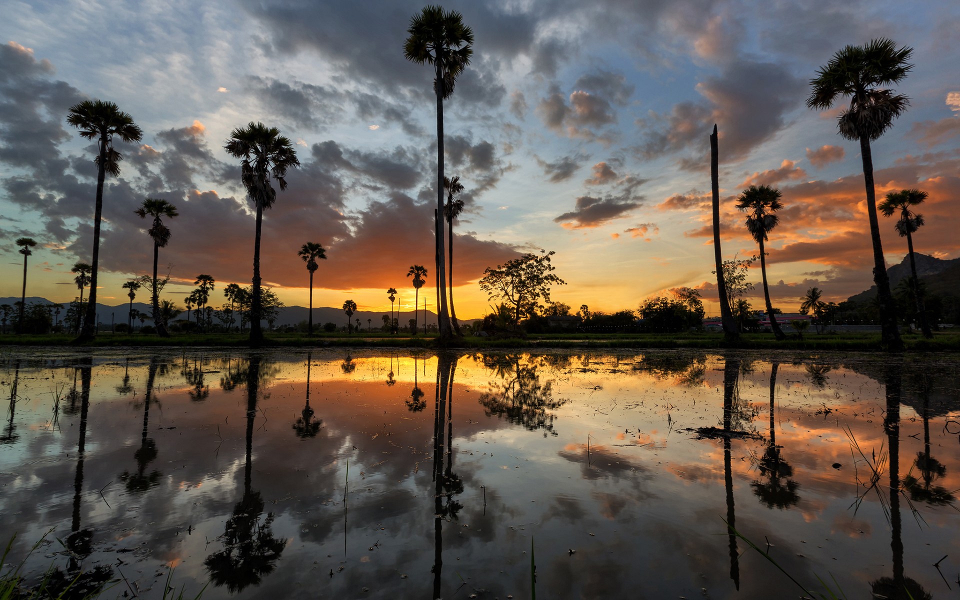 General 1920x1200 palm trees reflection landscape water mountains sunset nature sunlight clouds