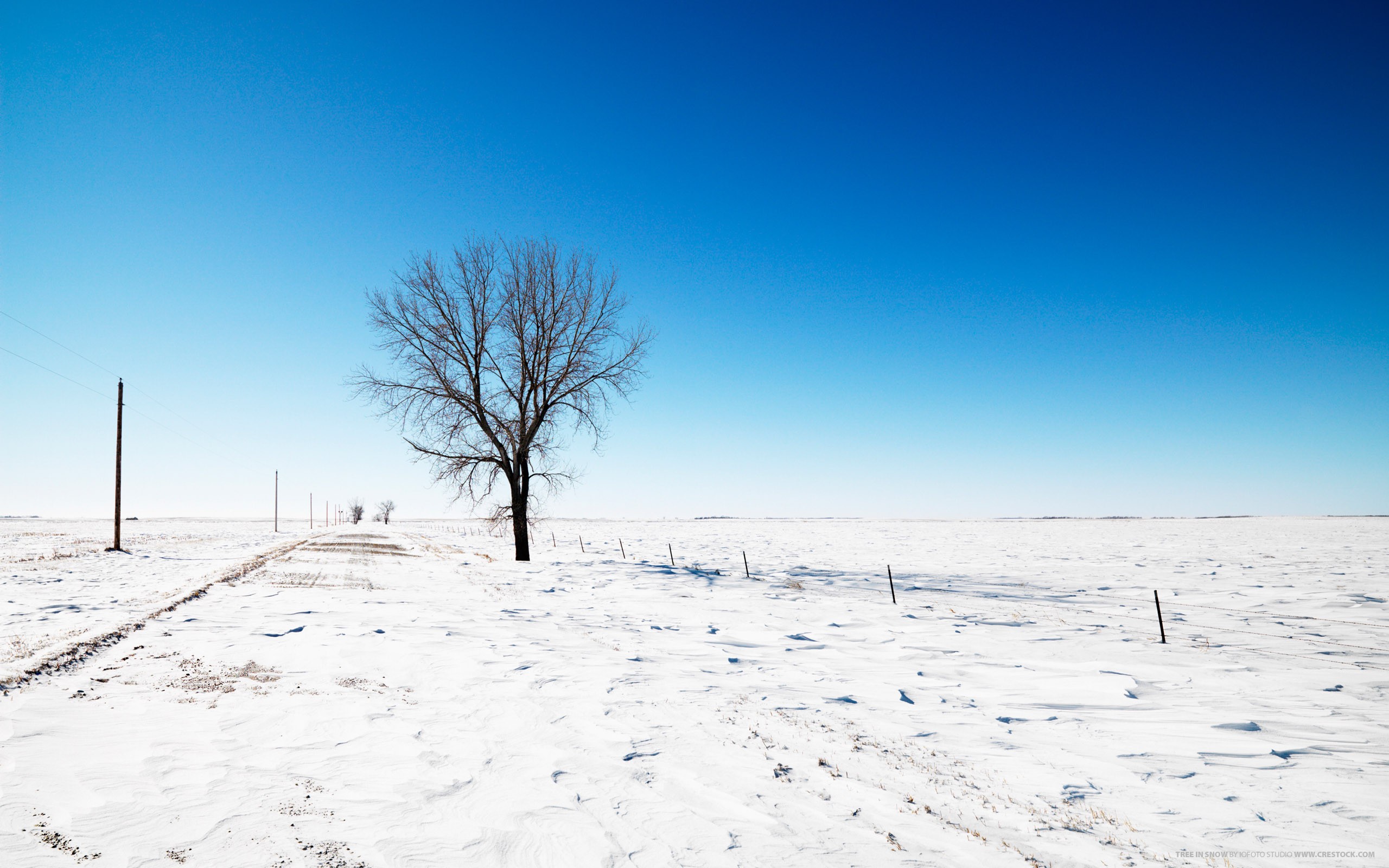 General 2560x1600 photography landscape nature winter trees snow road field