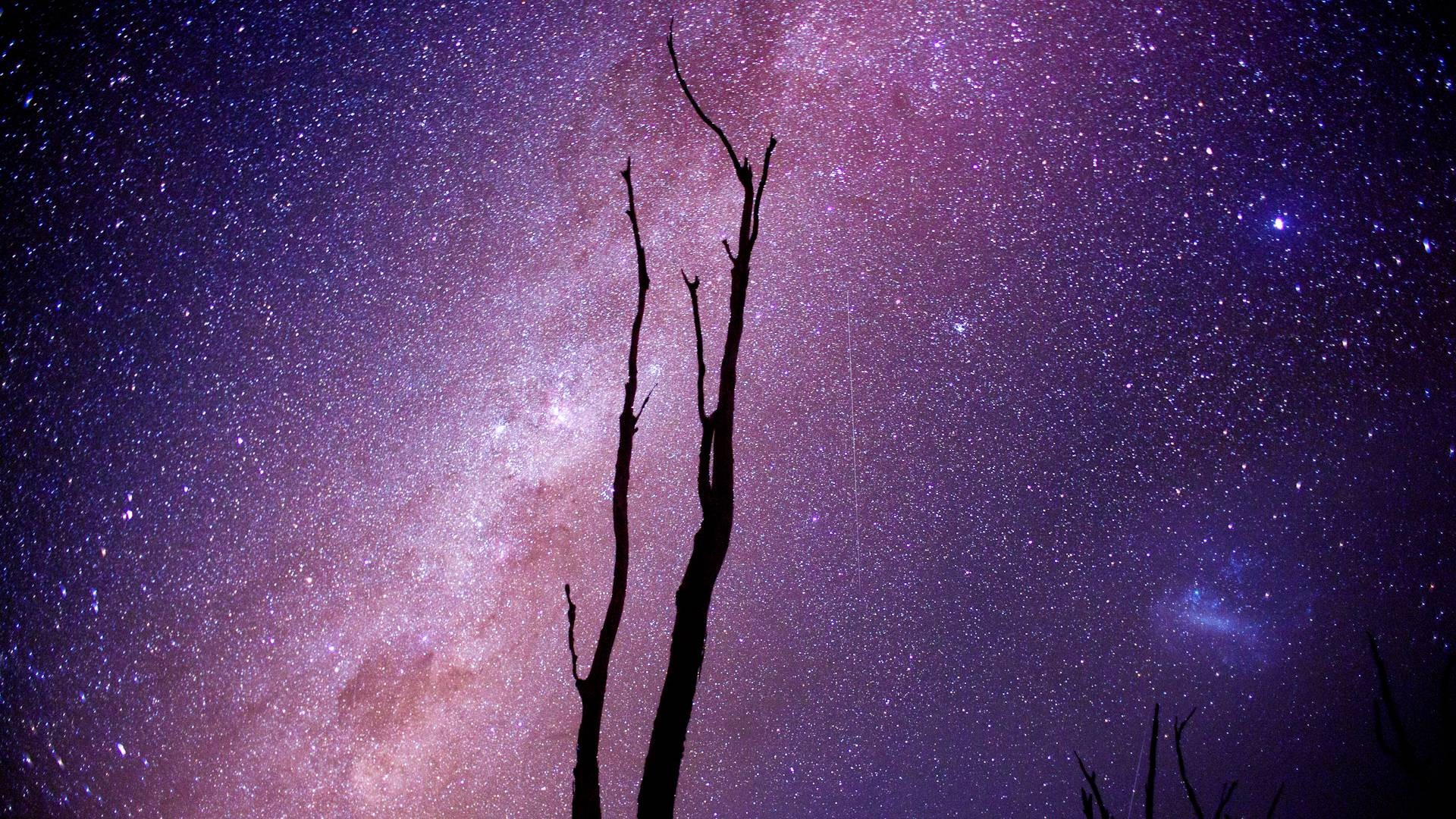 General 1920x1080 space stars silhouette space art digital art dead trees purple sky